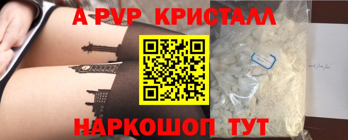 Альфа ПВП СК Сосновоборск